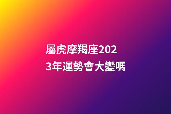 屬虎摩羯座2023年運勢會大變嗎
