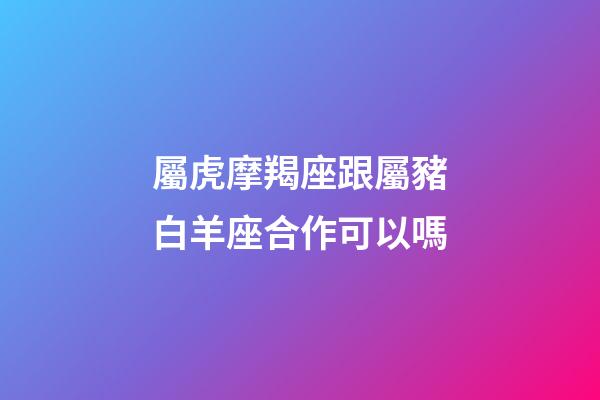 屬虎摩羯座跟屬豬白羊座合作可以嗎-第1張-星座運勢-玄機派