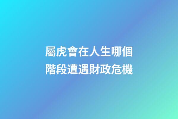 屬虎會在人生哪個階段遭遇財政危機