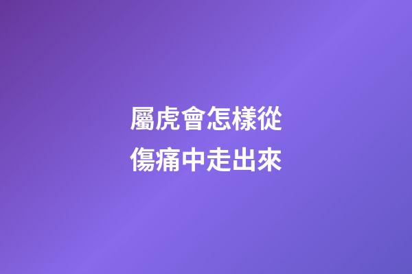 屬虎會怎樣從傷痛中走出來
