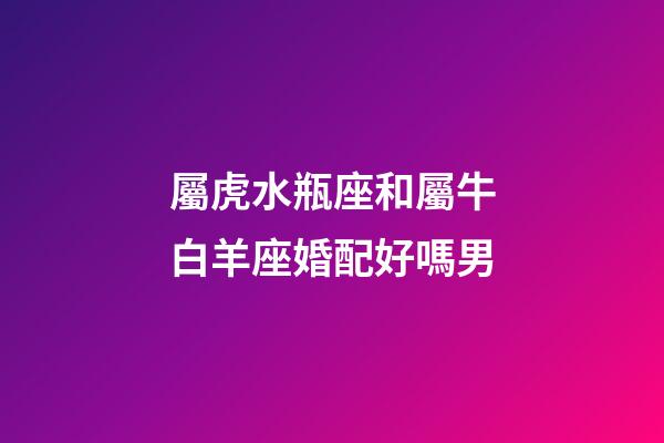 屬虎水瓶座和屬牛白羊座婚配好嗎男-第1張-星座運勢-玄機派