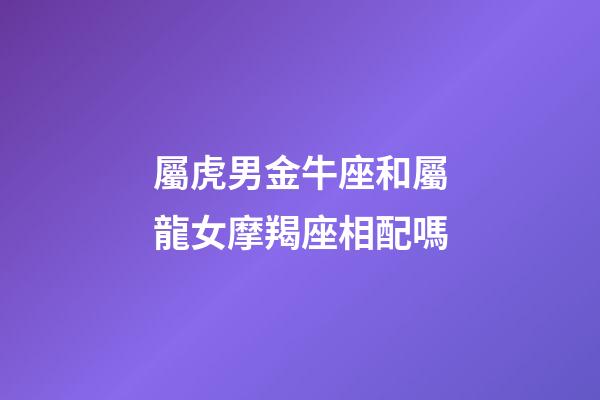 屬虎男金牛座和屬龍女摩羯座相配嗎-第1張-星座運勢-玄機派