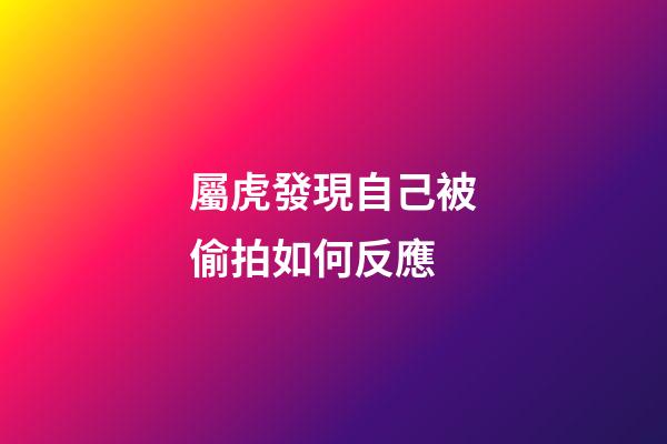 屬虎發現自己被偷拍如何反應