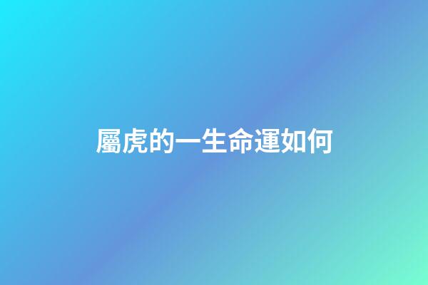 屬虎的一生命運如何