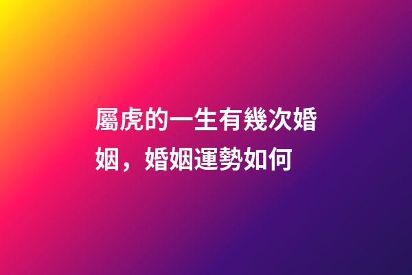 屬虎的一生有幾次婚姻，婚姻運勢如何