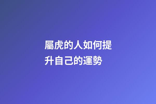 屬虎的人如何提升自己的運勢