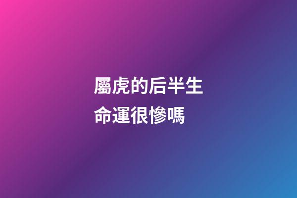屬虎的后半生命運很慘嗎