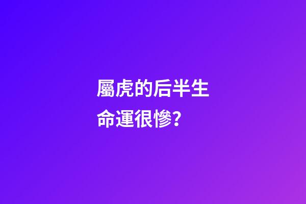 屬虎的后半生命運很慘？