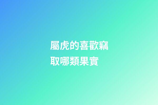 屬虎的喜歡竊取哪類果實