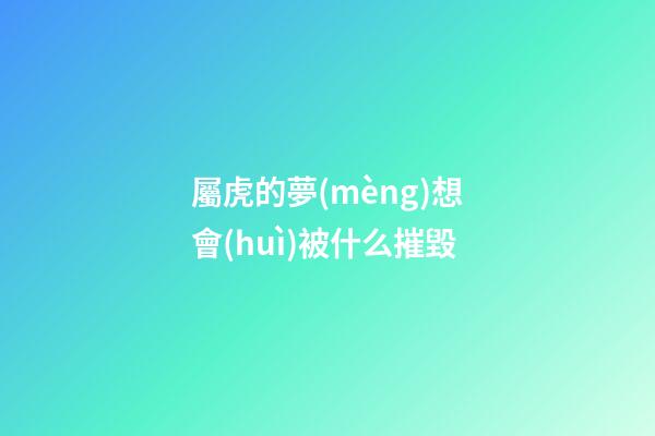 屬虎的夢(mèng)想會(huì)被什么摧毀