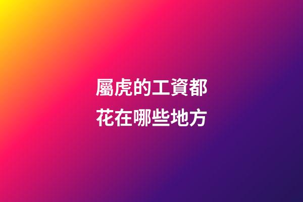 屬虎的工資都花在哪些地方