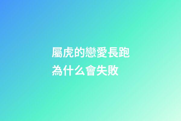 屬虎的戀愛長跑為什么會失敗