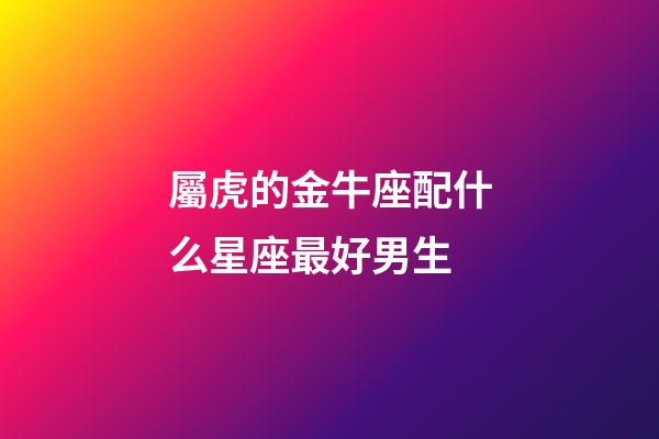 屬虎的金牛座配什么星座最好男生-第1張-星座運勢-玄機派