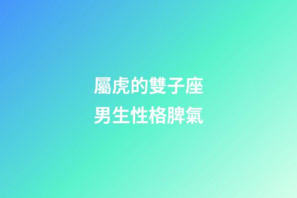 屬虎的雙子座男生性格脾氣-第1張-星座運勢-玄機派