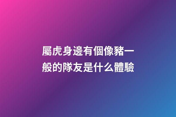 屬虎身邊有個像豬一般的隊友是什么體驗