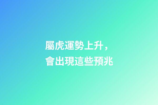 屬虎運勢上升，會出現這些預兆