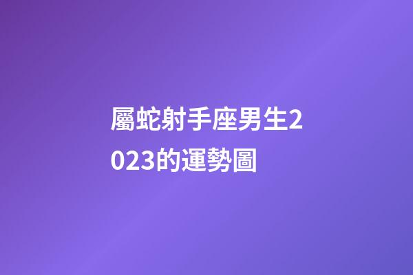 屬蛇射手座男生2023的運勢圖-第1張-星座運勢-玄機派