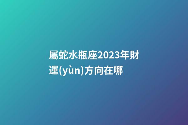屬蛇水瓶座2023年財運(yùn)方向在哪