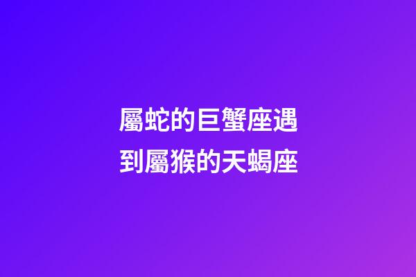 屬蛇的巨蟹座遇到屬猴的天蝎座-第1張-星座運勢-玄機派