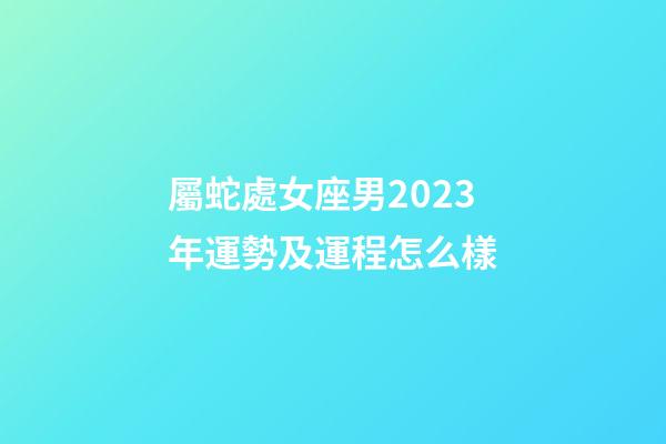 屬蛇處女座男2023年運勢及運程怎么樣-第1張-星座運勢-玄機派