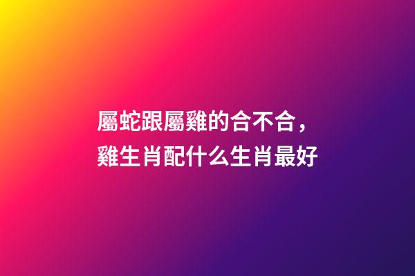 屬蛇跟屬雞的合不合，雞生肖配什么生肖最好-第1張-觀點-玄機派