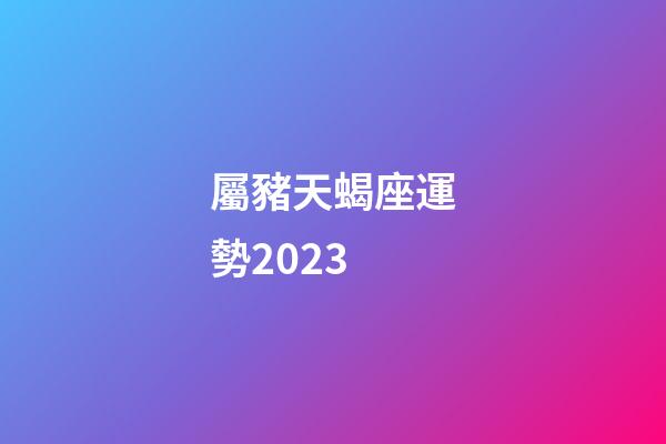 屬豬天蝎座運勢2023-第1張-星座運勢-玄機派
