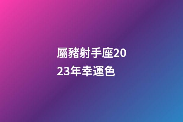 屬豬射手座2023年幸運色-第1張-星座運勢-玄機派