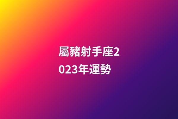 屬豬射手座2023年運勢-第1張-星座運勢-玄機派