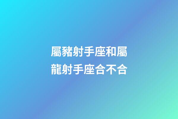 屬豬射手座和屬龍射手座合不合-第1張-星座運勢-玄機派