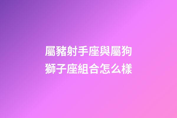 屬豬射手座與屬狗獅子座組合怎么樣-第1張-星座運勢-玄機派