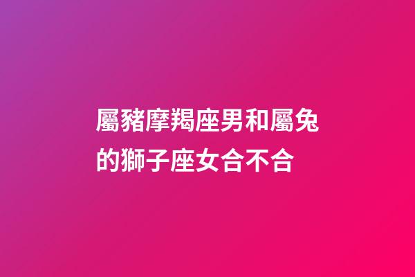 屬豬摩羯座男和屬兔的獅子座女合不合-第1張-星座運勢-玄機派