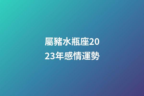 屬豬水瓶座2023年感情運勢-第1張-星座運勢-玄機派