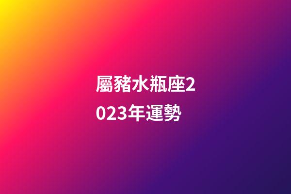 屬豬水瓶座2023年運勢-第1張-星座運勢-玄機派