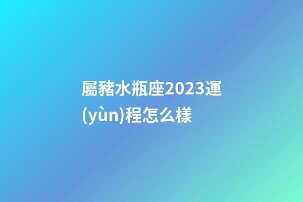 屬豬水瓶座2023運(yùn)程怎么樣