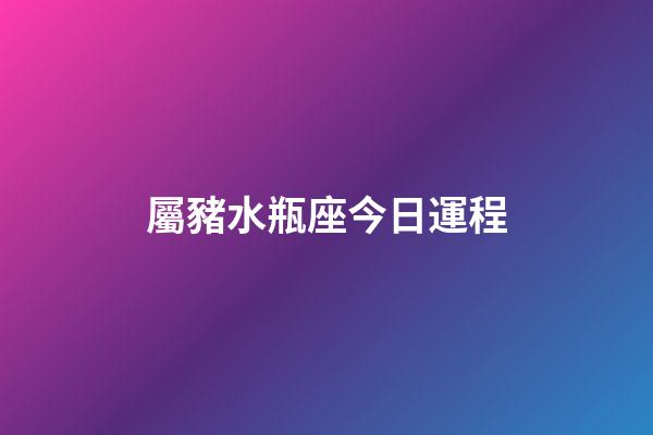屬豬水瓶座今日運程-第1張-星座運勢-玄機派