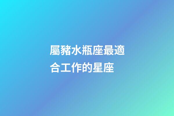 屬豬水瓶座最適合工作的星座
