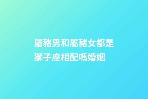 屬豬男和屬豬女都是獅子座相配嗎婚姻-第1張-星座運勢-玄機派