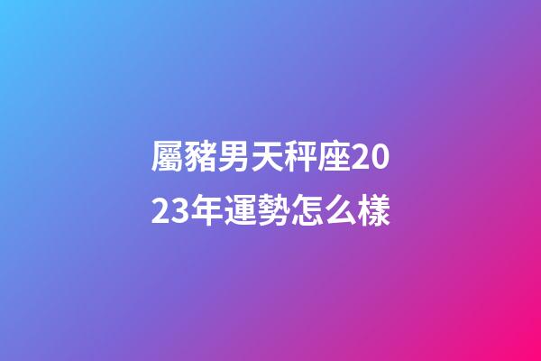 屬豬男天秤座2023年運勢怎么樣-第1張-星座運勢-玄機派