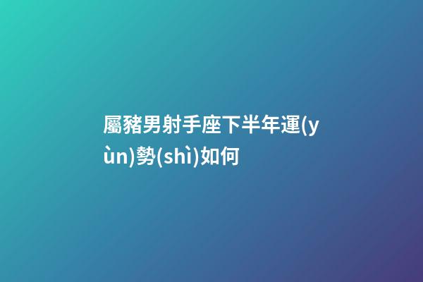 屬豬男射手座下半年運(yùn)勢(shì)如何-第1張-星座運(yùn)勢(shì)-玄機(jī)派