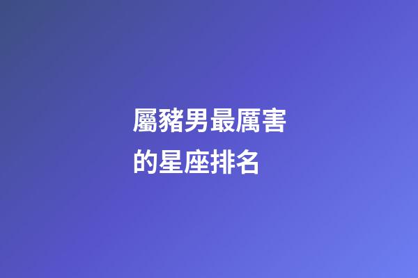 屬豬男最厲害的星座排名