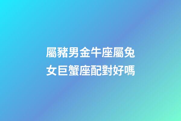 屬豬男金牛座屬兔女巨蟹座配對好嗎-第1張-星座運勢-玄機派