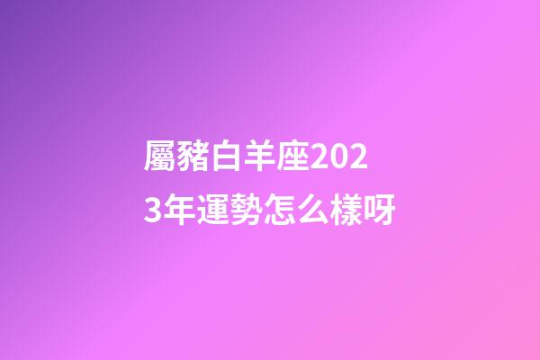 屬豬白羊座2023年運勢怎么樣呀-第1張-星座運勢-玄機派