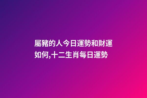 屬豬的人今日運勢和財運如何,十二生肖每日運勢-第1張-觀點-玄機派