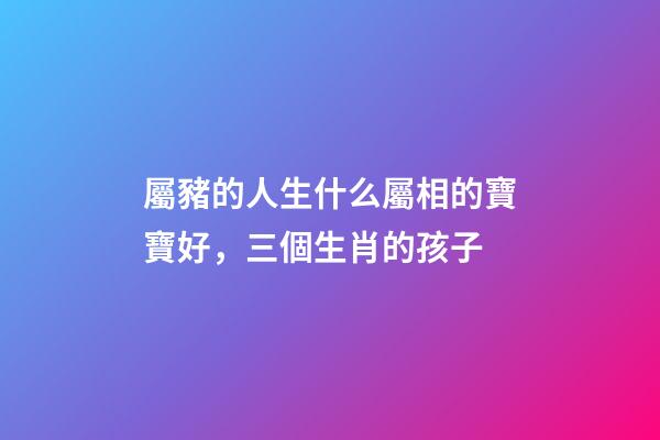屬豬的人生什么屬相的寶寶好，三個生肖的孩子-第1張-觀點-玄機派