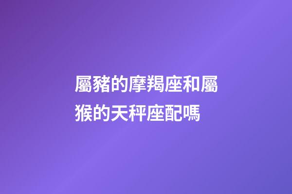 屬豬的摩羯座和屬猴的天秤座配嗎