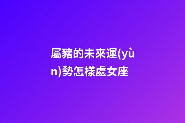 屬豬的未來運(yùn)勢怎樣處女座