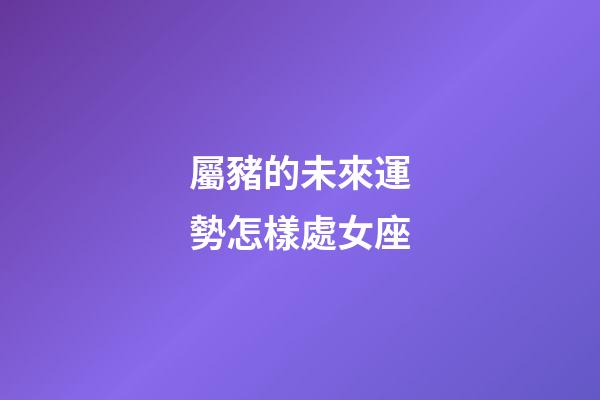屬豬的未來運勢怎樣處女座-第1張-星座運勢-玄機派