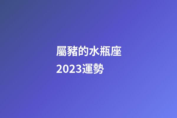 屬豬的水瓶座2023運勢-第1張-星座運勢-玄機派