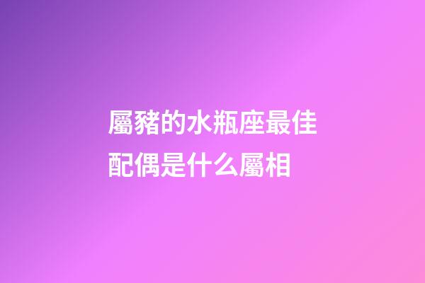 屬豬的水瓶座最佳配偶是什么屬相-第1張-星座運勢-玄機派