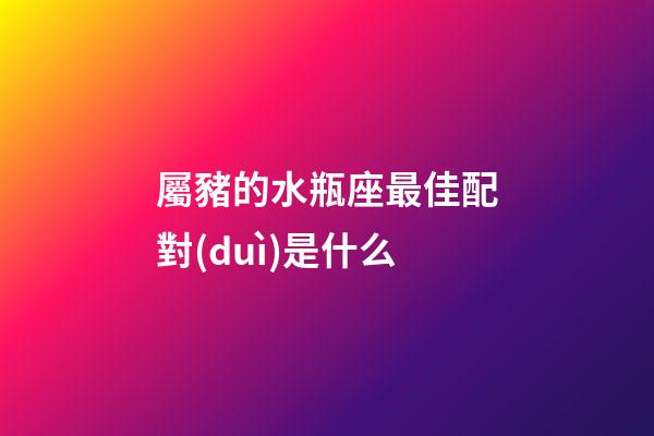 屬豬的水瓶座最佳配對(duì)是什么-第1張-星座運(yùn)勢(shì)-玄機(jī)派